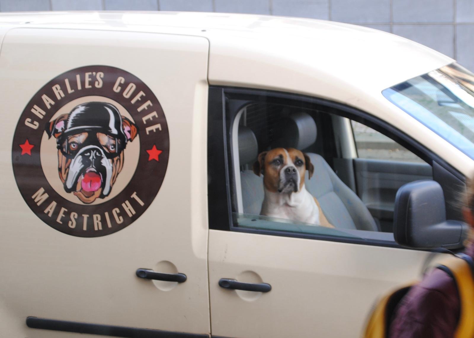 WhatsApp Image 2025-12-27 at 19.02.23